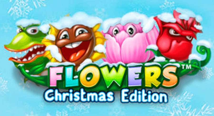 Flowers christmas edition