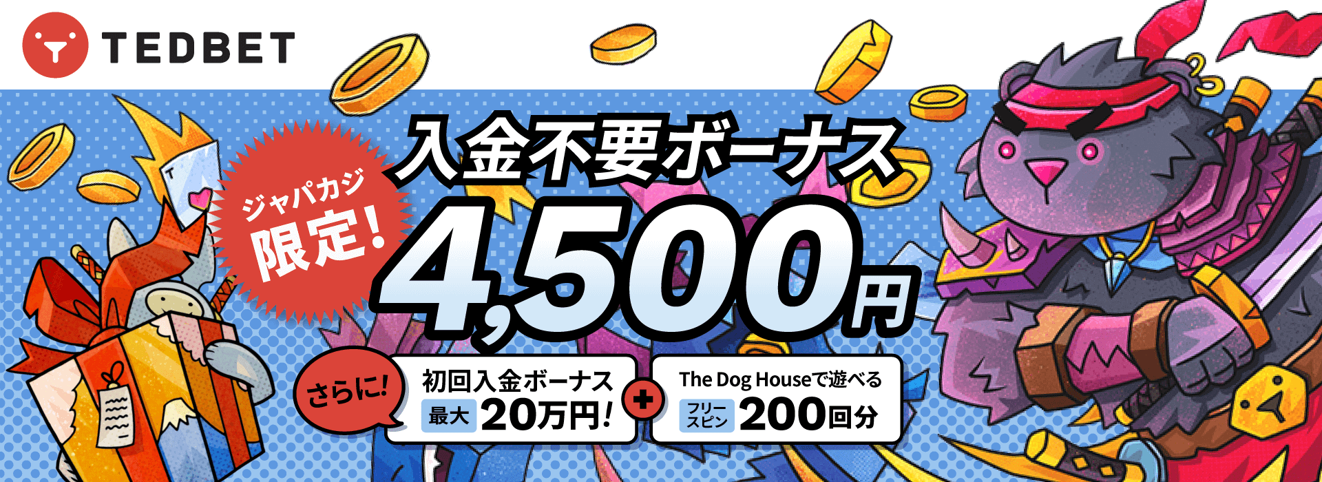 ラッキーニッキー限定オファー:コンテントバナー