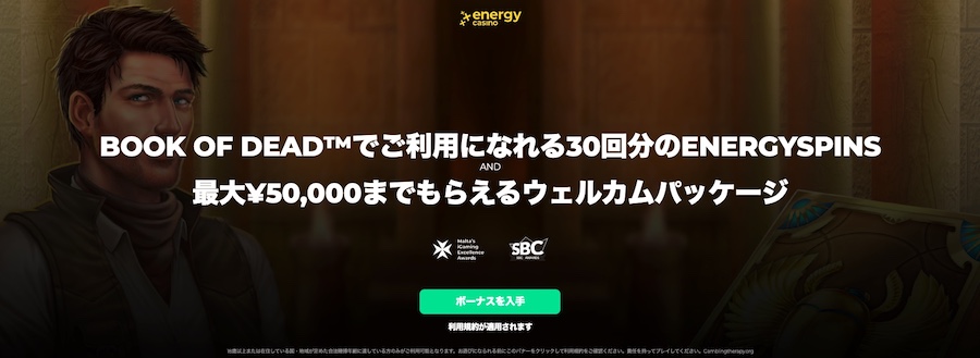 エナジーフリースピン