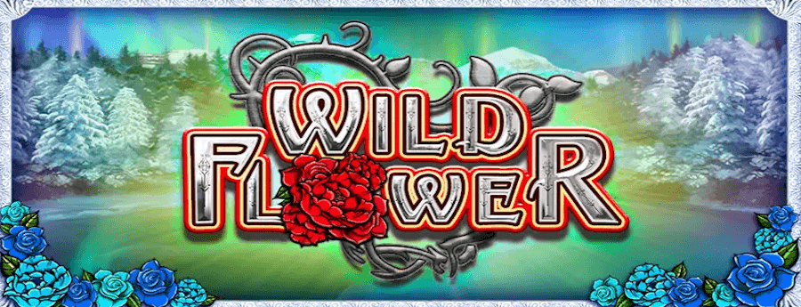 スロット|wild flower