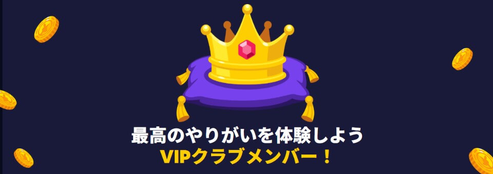 ルーベット｜VIPプログラム