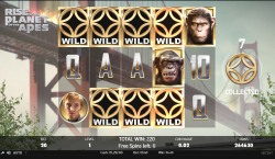 raise freespins