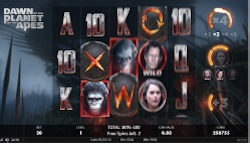 dawn freespins