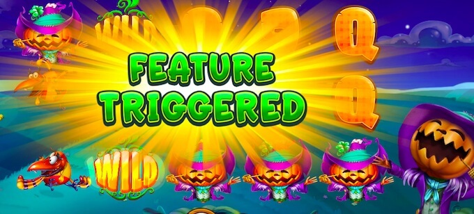 pumpkin patch slot pumpkin patch