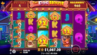 The dog house megaways The dog house megaways