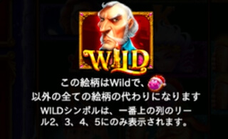 ワイルド