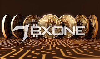 bxone