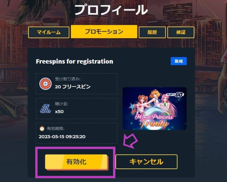 スナッチカジノ|ジャパカジ限定・入金不要フリースピン・有効化