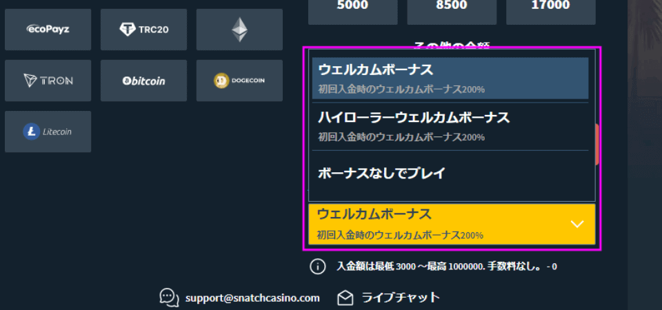 スナッチカジノ｜ウェルカムボーナス・選択方法